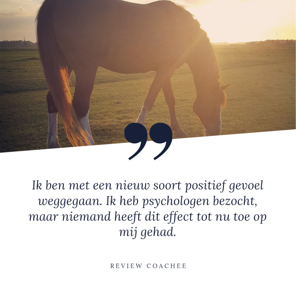 Review paardencoaching