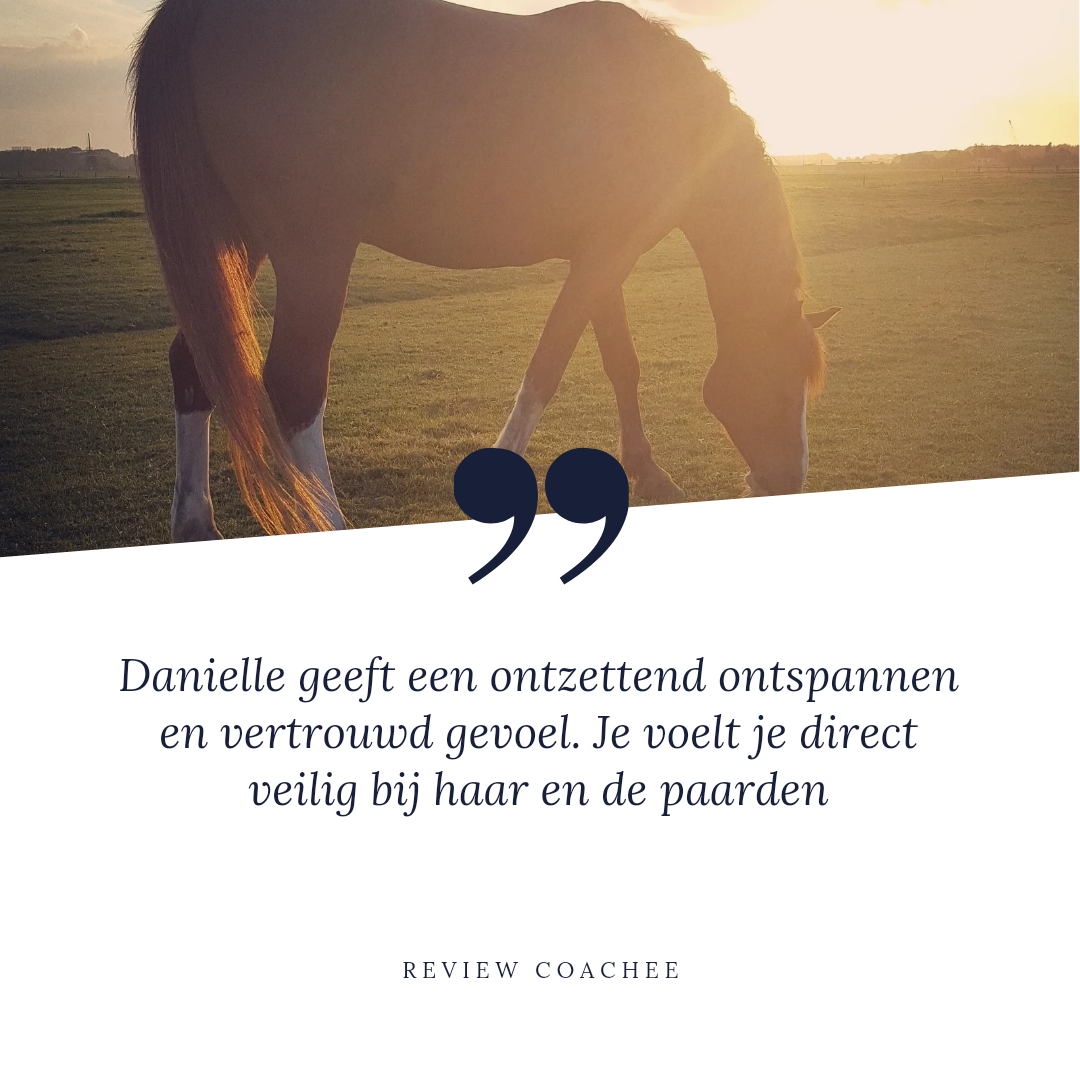 Review paardencoaching